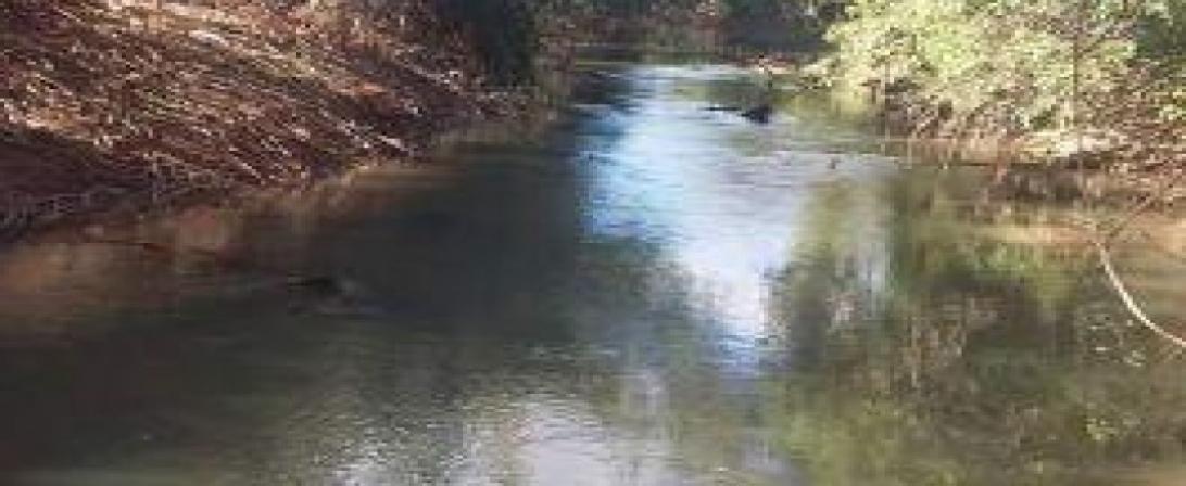 Rio Pacuí